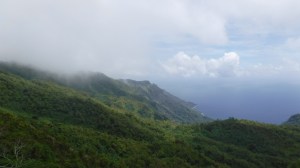 HivaOa - DSCF0456.jpg