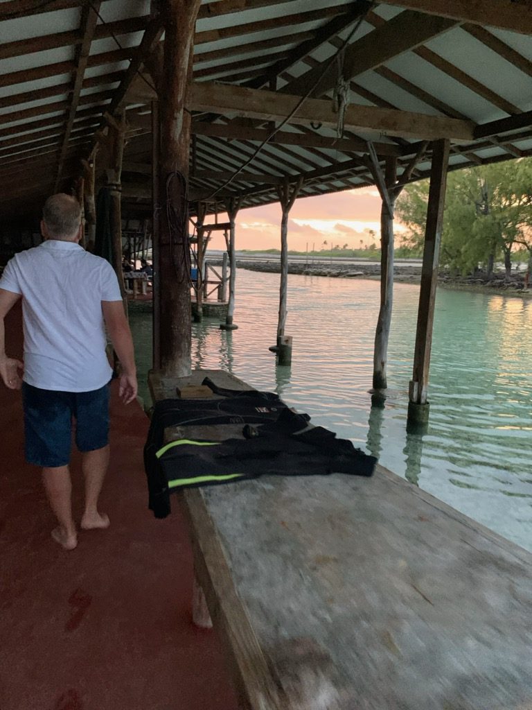 uploads - IMG_0349.jpeg