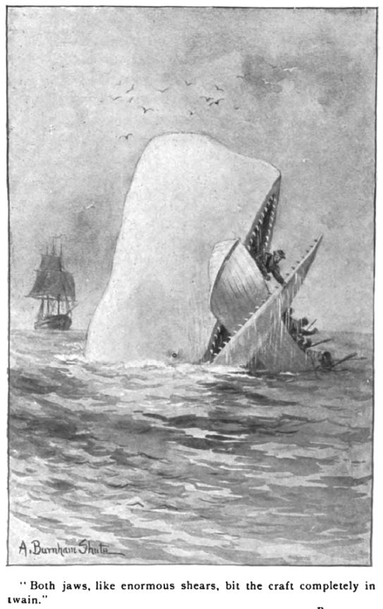 history - Whale-biting-whale-boat.jpg