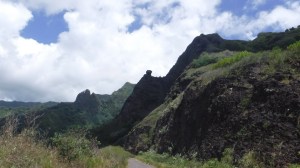 HivaOa - DSCF0513.jpg