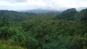 HivaOa - DSCF0445.jpg