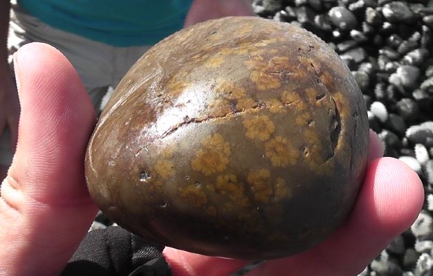 RoadtoHohoi - Hohoi-flower-stone.jpg