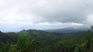 HivaOa - DSCF0449.jpg