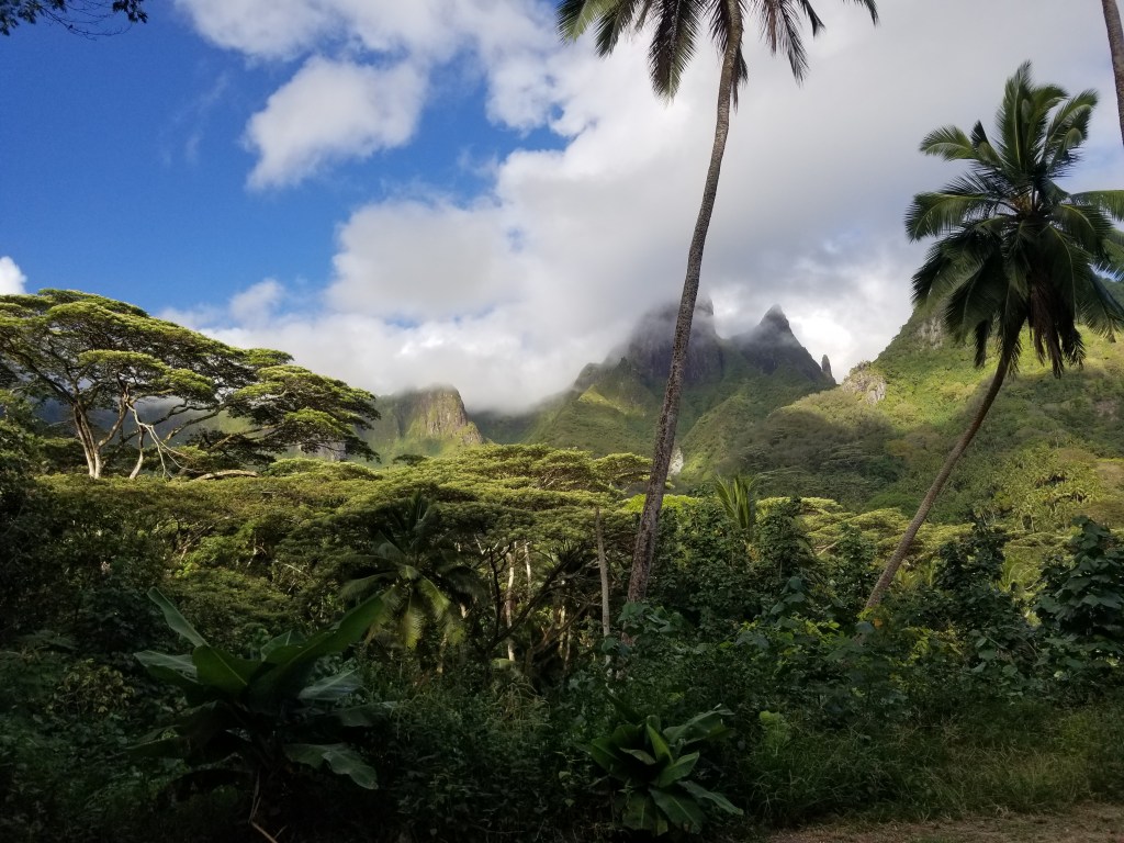 RoadtoHohoi - 20191218_065137.jpg