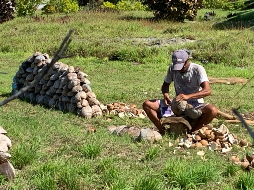 uploads - IMG_0443.jpeg