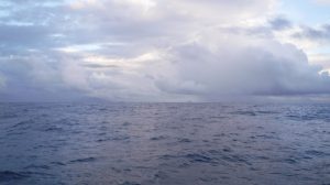 HivaOa - DSCF0356.jpg