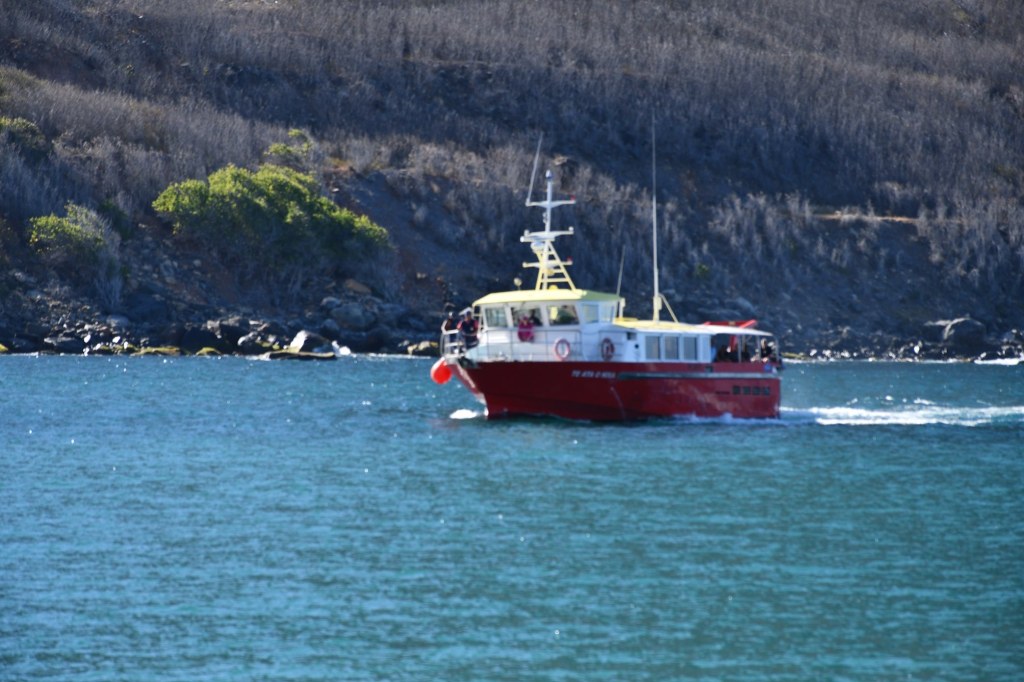 HakahouBay - Ua-Pou-ferry.jpg